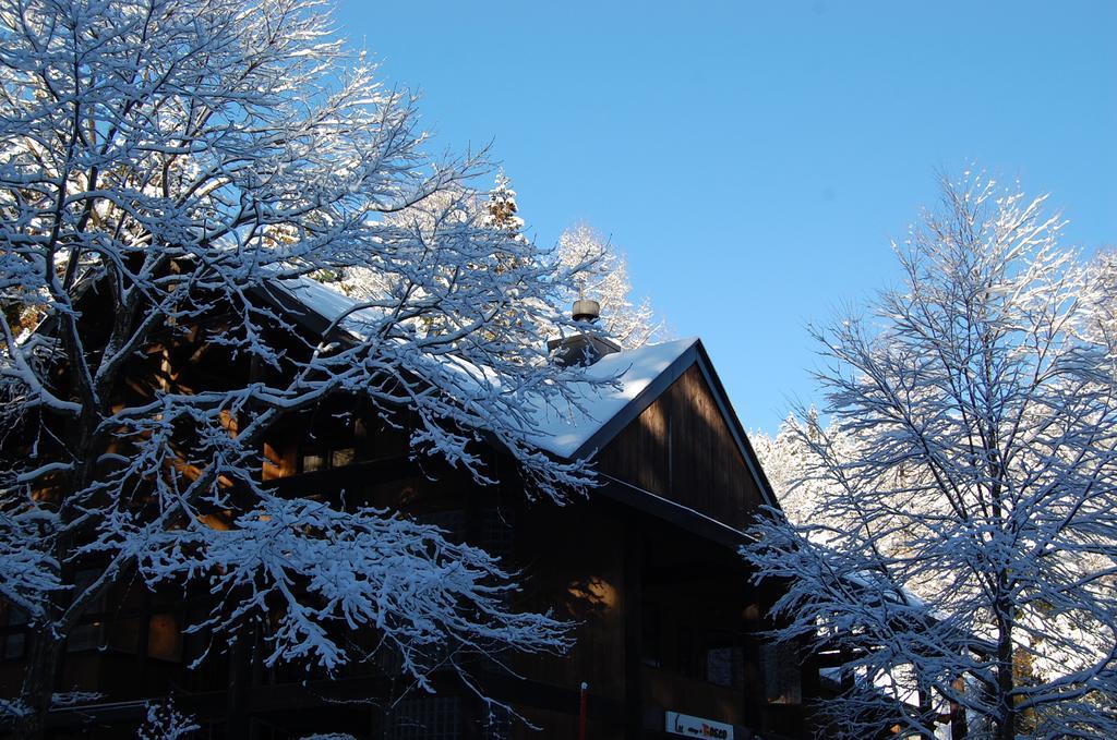 Il Bosco Villa Hakuba Exteriör bild
