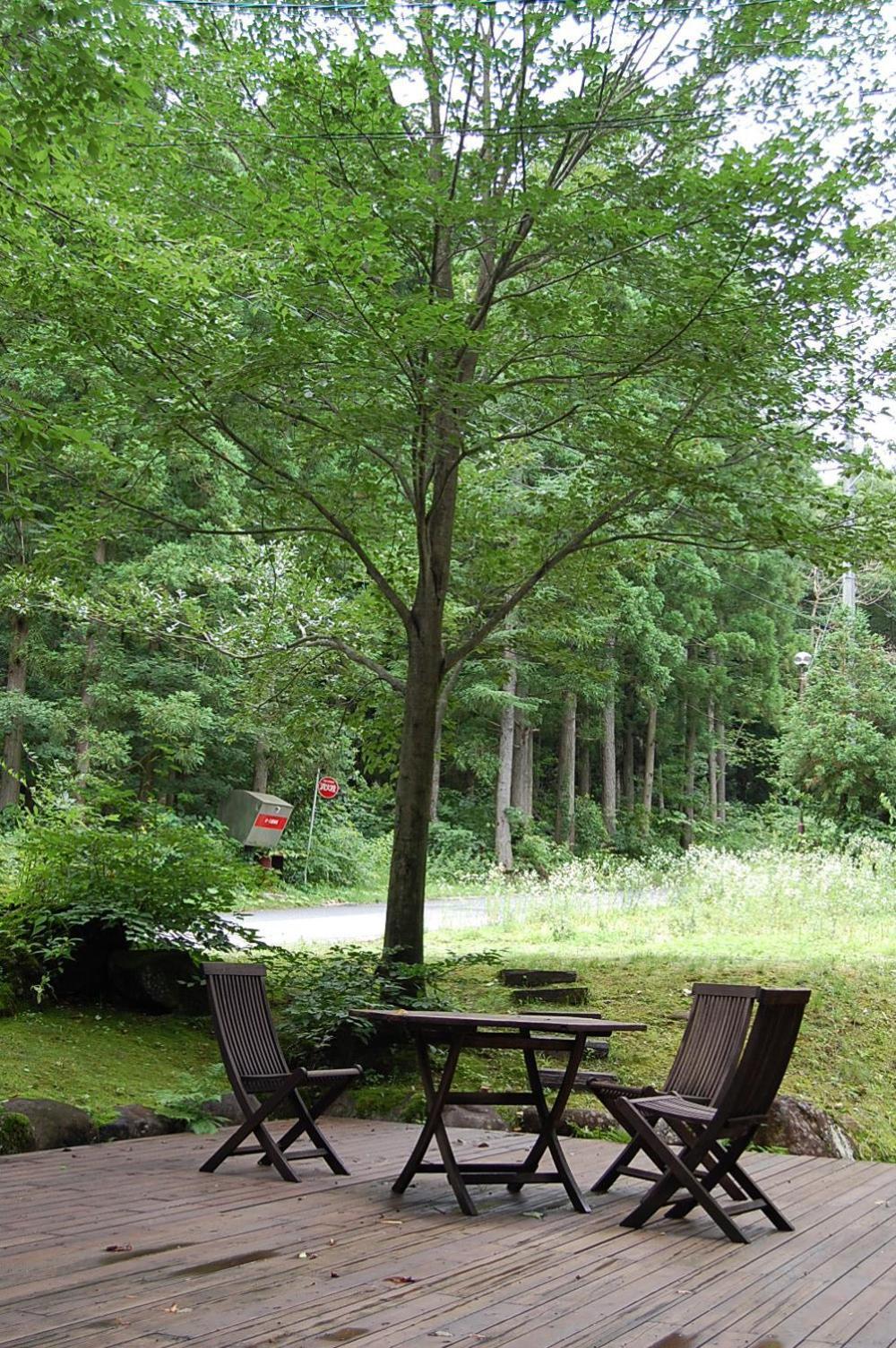 Il Bosco Villa Hakuba Exteriör bild
