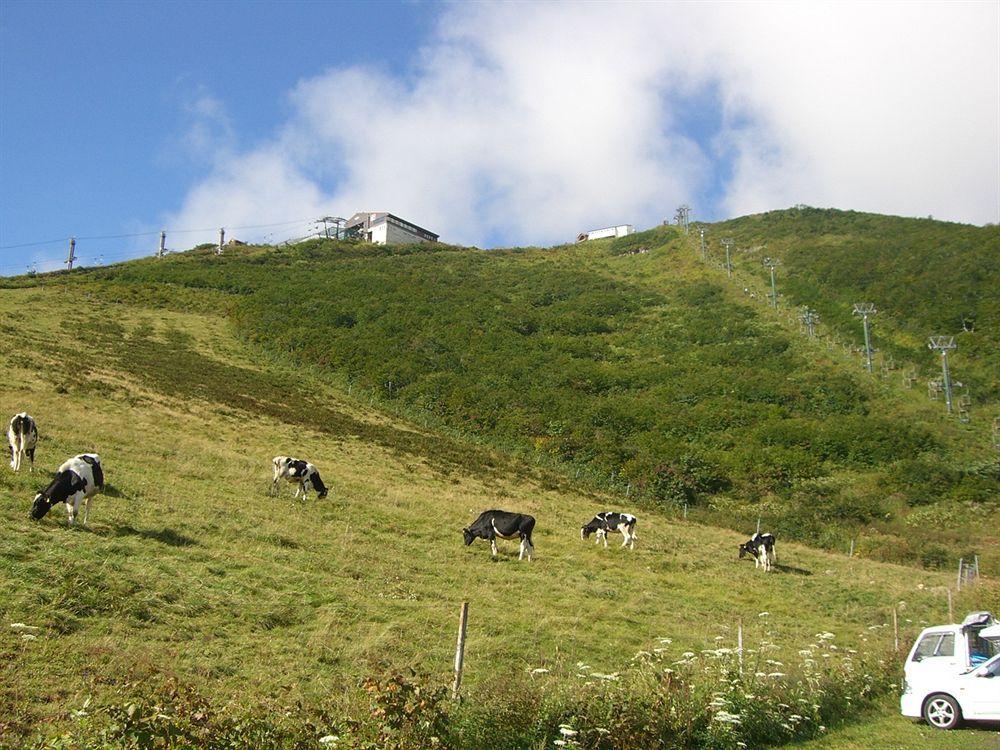 Il Bosco Villa Hakuba Exteriör bild