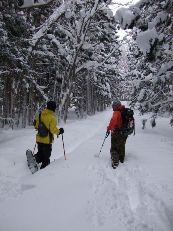 Il Bosco Villa Hakuba Exteriör bild