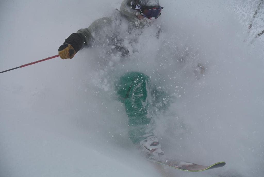 Il Bosco Villa Hakuba Exteriör bild