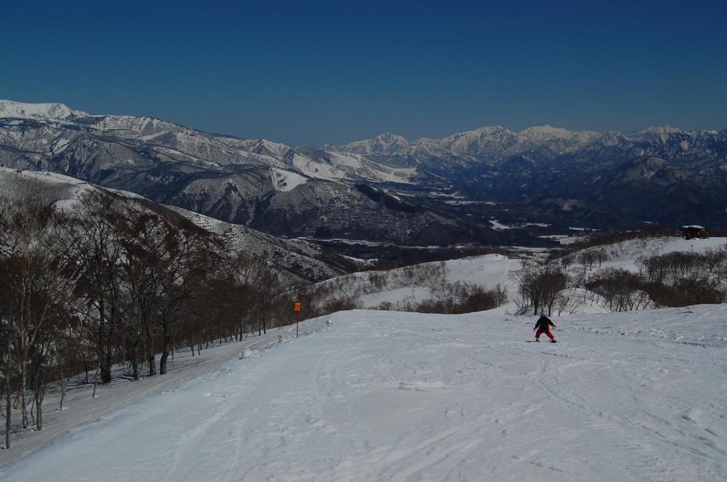 Il Bosco Villa Hakuba Exteriör bild